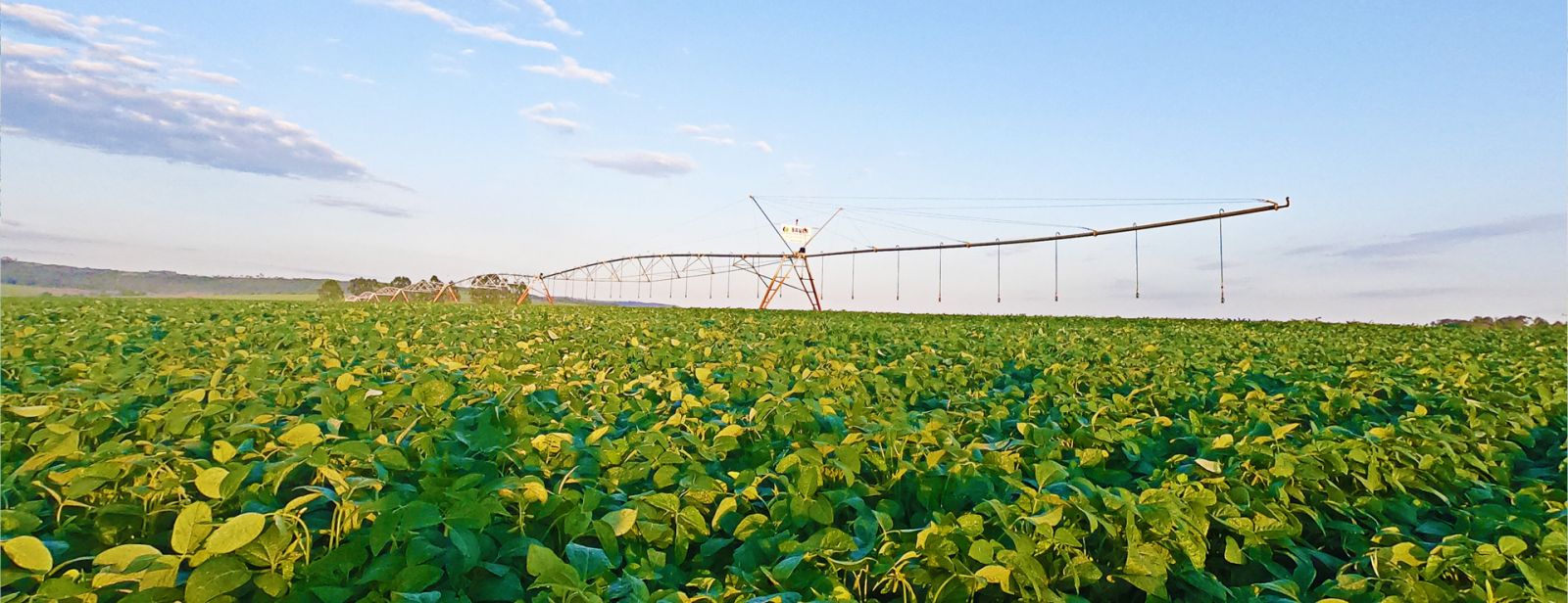 O crescimento da agricultura irrigada no Brasil
