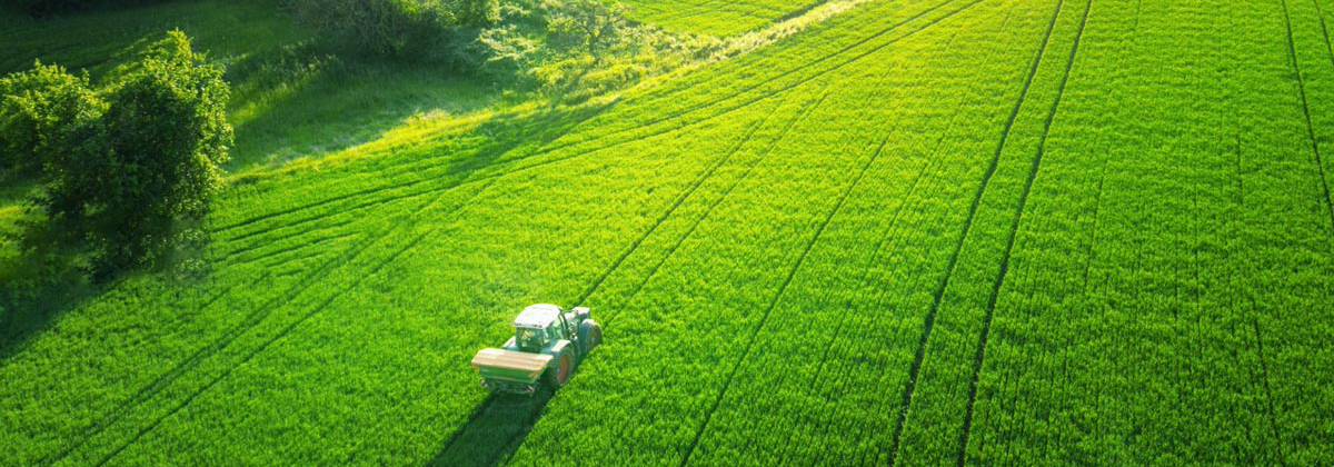 Agricultura no Brasil - Revolução Verde