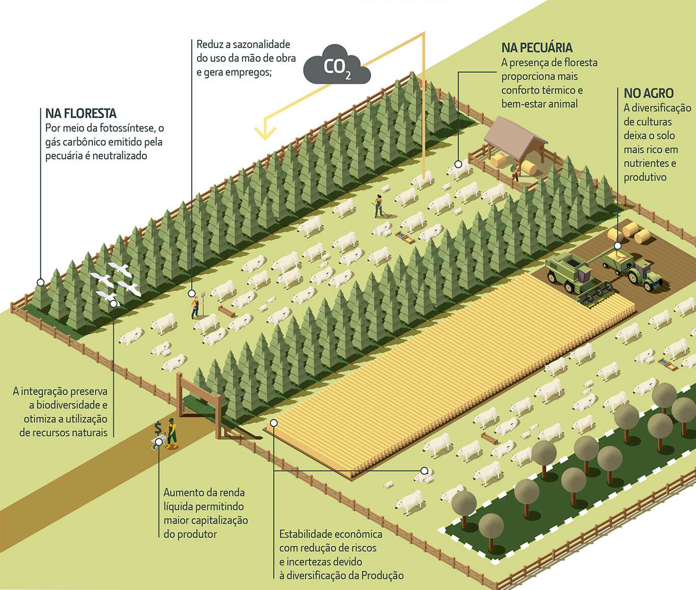 Integração Lavoura-Pecuária-Floresta (ILPF)