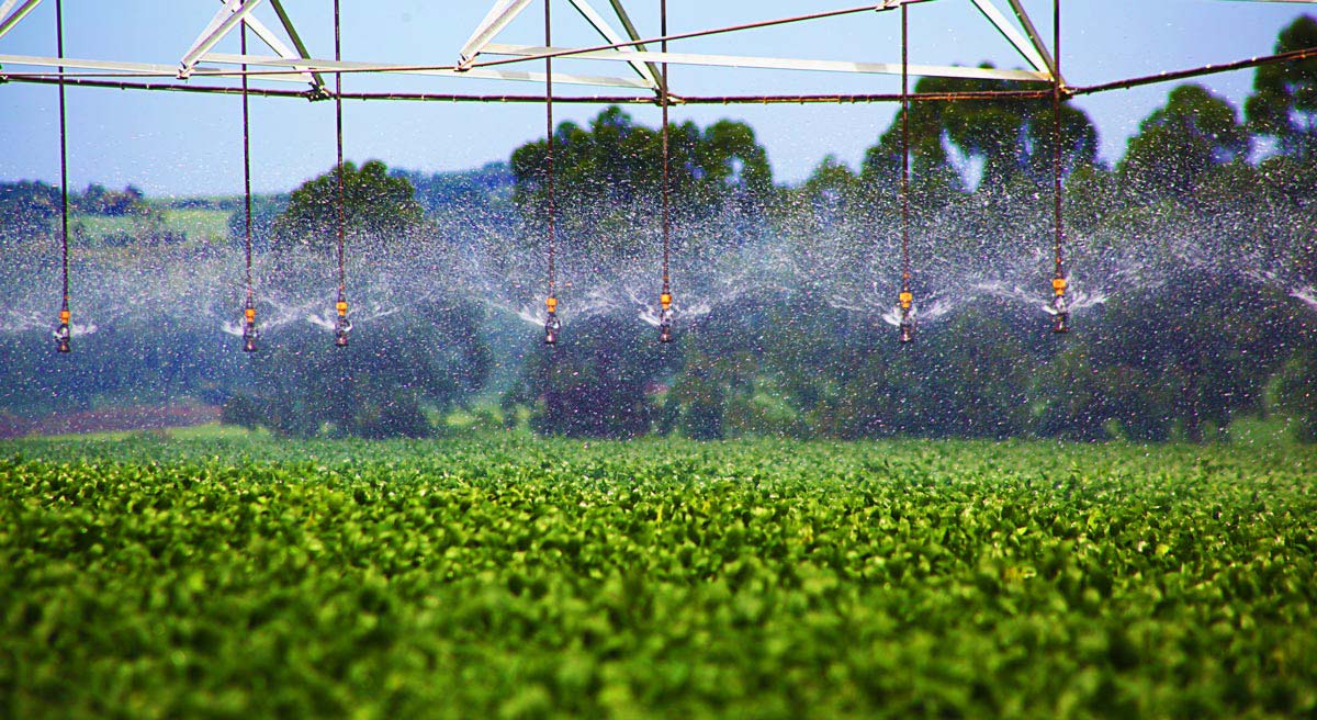 Tecnologia verde e sustentabilidade no agronegócio - Bauer