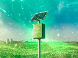 Bauer_Cosmofield_Banner_Site