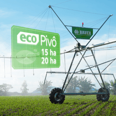 Design sem nome (16)