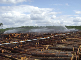 Bauer Holzplatzberegnung