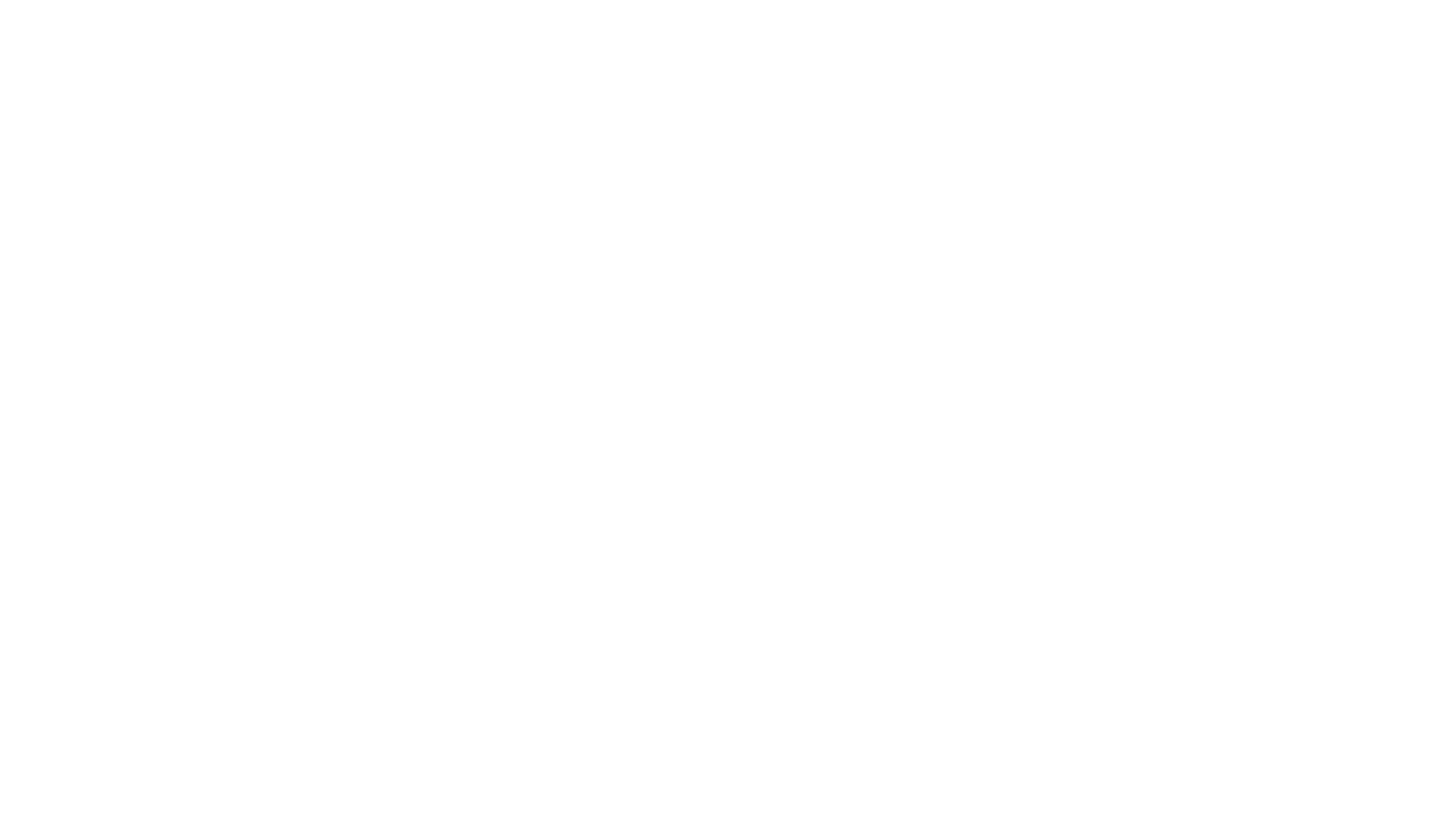 Logo Bauer Conecta