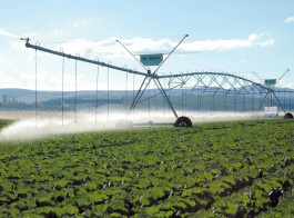 Bauer Linear Irrigation System, Carl Guttman's Farm, Kranskop, KwaZulu Natal