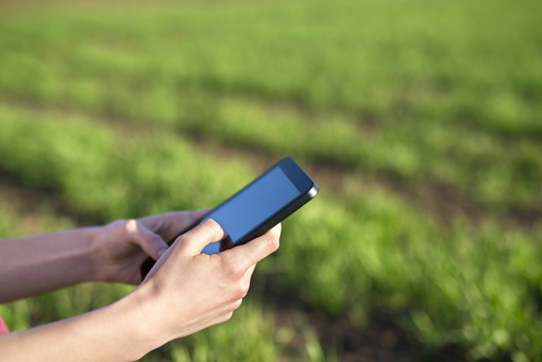 Growing crops with modern technologies.