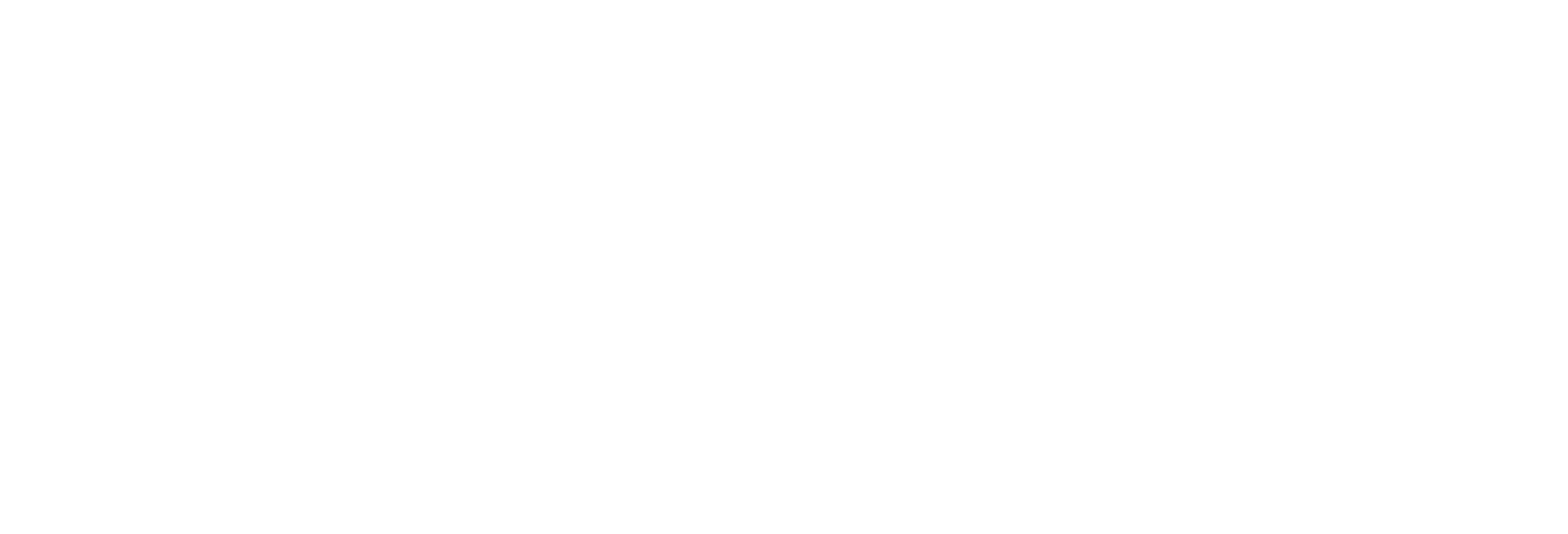 Logo Bauer